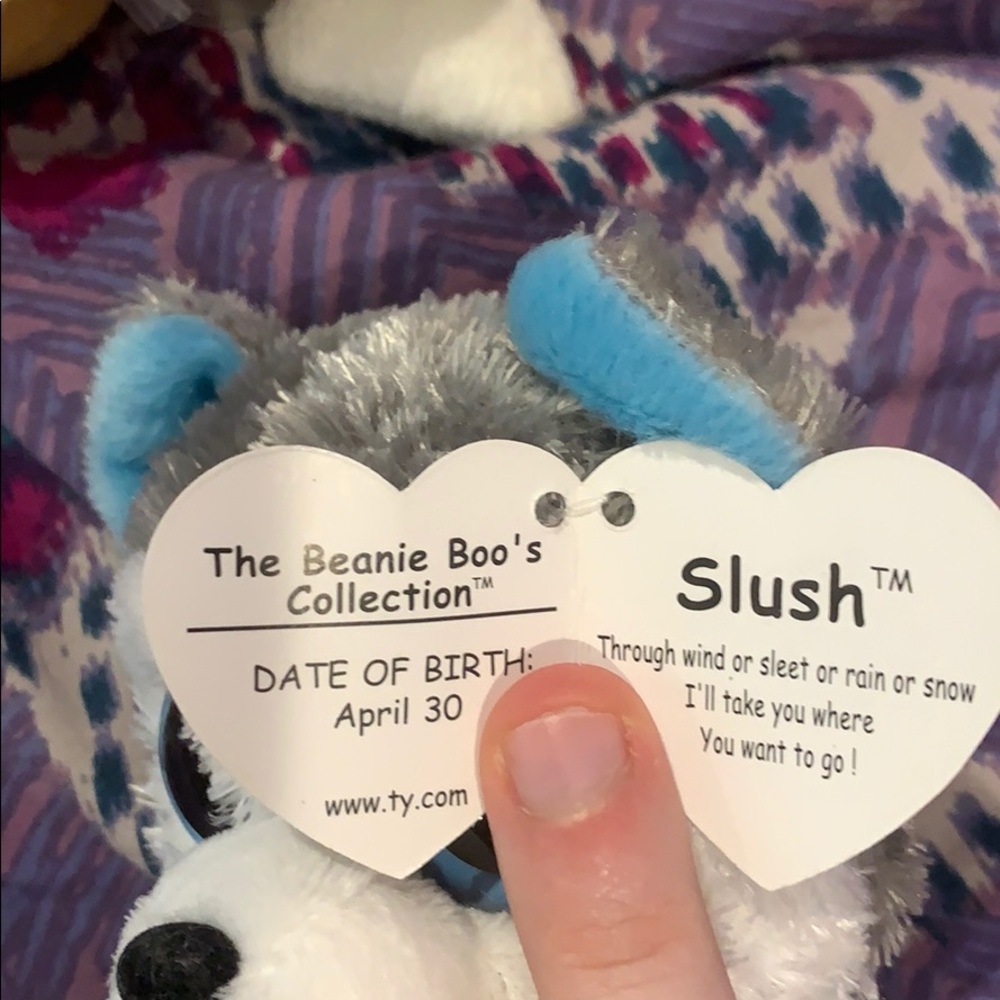 NWT husky beanie boo - Picture 2 of 3